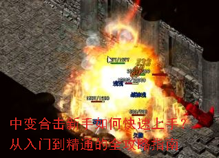 �б�ϻ�������ο������֣������ŵ���ͨ��ȫ����ָ��