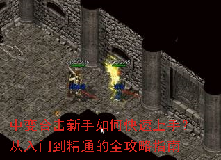 �б�ϻ�������ο������֣������ŵ���ͨ��ȫ����ָ��