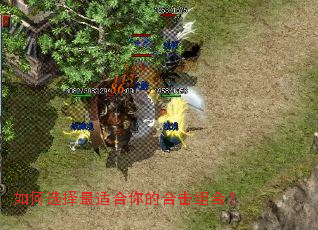 ���ѡ�����ʺ���ĺϻ���ϣ�