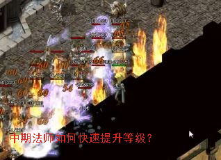 ���ڷ�ʦ��ο��������ȼ���