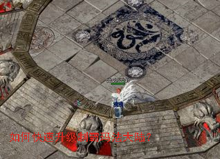 ��ο��������ư��귨��½��