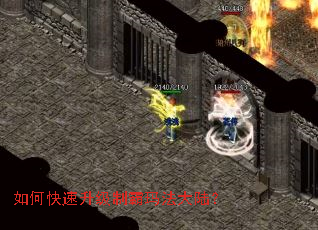 ��ο��������ư��귨��½��