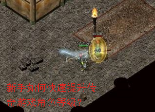 ������ο�������������Ϸ��ɫ�ȼ���