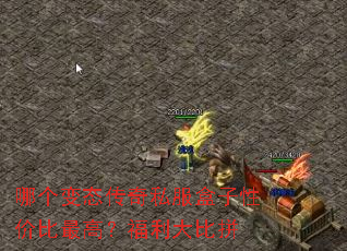 �ĸ���̬����˽�������Լ۱���ߣ��������ƴ