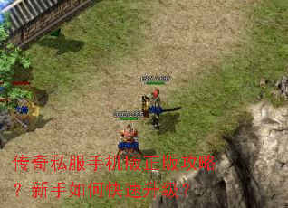 ����˽���ֻ������湥�ԣ�������ο���������