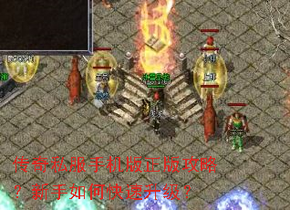 ����˽���ֻ������湥�ԣ�������ο���������