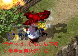 ����˽���ֻ������湥�ԣ�������ο���������