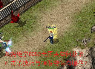 ������ѧBOSSȫͼ����λ�ȡ����ɱ�����������Ʒ����Щ��