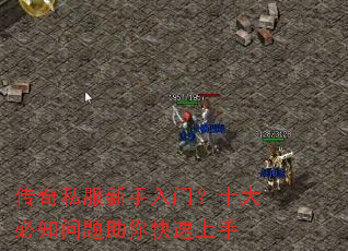 ����˽���������ţ�ʮ���֪���������������