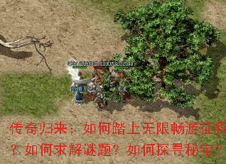 ������������̤�����޳������̣����������⣿���̽Ѱ�ر���