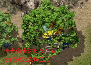 �����ʿ�ﵽ���ټ�������ս�������㣿