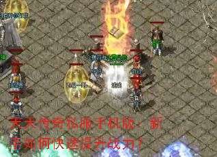 ���촫��˽���ֻ��棺������ο�������ս����