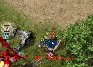 ��ο���������������Ѫ���ȼ���