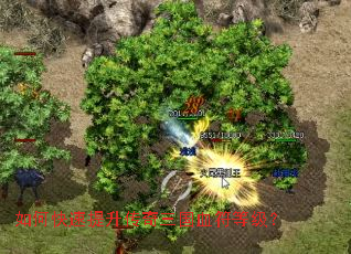 ��ο���������������Ѫ���ȼ���