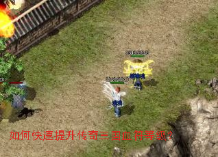 ��ο���������������Ѫ���ȼ���