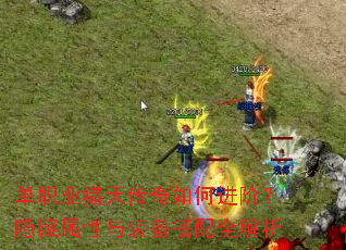 ��ְҵ���촫����ν��ף�����������װ������ȫ����