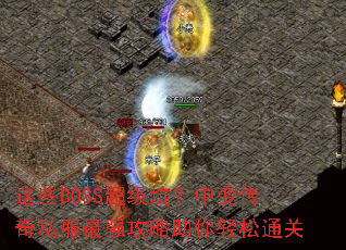 ��ЩBOSS�����ӣ��б䴫��˽����ǿ������������ͨ��