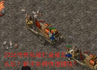 2026����˽��������ô�棿������ο���׬Ǯ��
