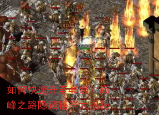 如何快速升至45级?巅峰之路隐藏秘辛大揭秘 如何快速升至45级?巅峰之路隐藏秘辛大揭秘