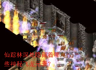仙踪林深处隐藏着哪些神秘飞龙元素? 仙踪林深处隐藏着哪些神秘飞龙元素?