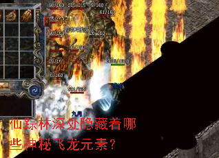 仙踪林深处隐藏着哪些神秘飞龙元素? 仙踪林深处隐藏着哪些神秘飞龙元素?