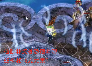 仙踪林深处隐藏着哪些神秘飞龙元素? 仙踪林深处隐藏着哪些神秘飞龙元素?