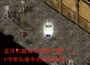 龙牙和血饮骨玉谁才是1.76传奇私服中的终极神兵? 龙牙和血饮骨玉谁才是1.76传奇私服中的终极神兵?