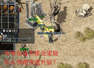 传奇私服无限元宝版怎么快速快速升级? 传奇私服无限元宝版怎么快速快速升级?