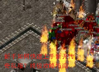 新手如何快速上手新开传奇私服?终极攻略指南 新手如何快速上手新开传奇私服?终极攻略指南