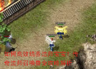 如何高效培养法师宝宝?传奇法师召唤兽全攻略解析 如何高效培养法师宝宝?传奇法师召唤兽全攻略解析