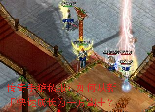 传奇手游私服:如何从新手快速成长为一方霸主? 传奇手游私服:如何从新手快速成长为一方霸主?