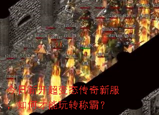 �����¿�����̬�����·�����β�����ת�ưԣ�