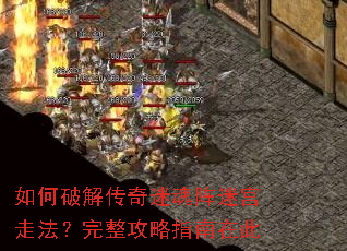 ����ƽ⴫���Ի����Թ��߷�����������ָ���ڴ�