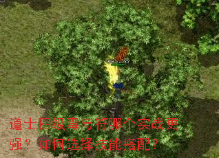 道士四级毒与符哪个实战更强?如何选择技能搭配? 道士四级毒与符哪个实战更强?如何选择技能搭配?