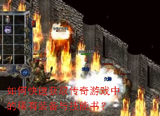 ��ο��ٻ�ȡ������Ϸ�е�ϡ��װ���뼼���飿