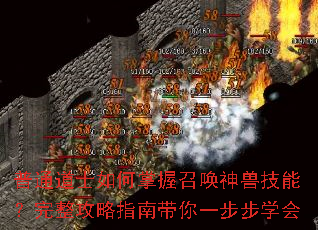 ��ͨ��ʿ��������ٻ����޼��ܣ���������ָ�ϴ���һ����ѧ��