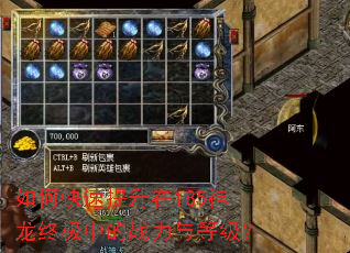 如何快速提升在185神龙终极中的战力与等级? 如何快速提升在185神龙终极中的战力与等级?