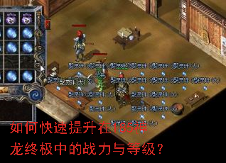 如何快速提升在185神龙终极中的战力与等级? 如何快速提升在185神龙终极中的战力与等级?