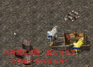 传奇游戏攻略:血饮与骨玉,究竟谁才是终极神兵? 传奇游戏攻略:血饮与骨玉,究竟谁才是终极神兵?