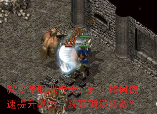就爱单职业传奇,新手如何快速提升战力与获取顶级装备? 就爱单职业传奇,新手如何快速提升战力与获取顶级装备?