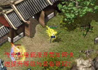 传奇私服新服开荒如何快速提升等级与装备获取? 传奇私服新服开荒如何快速提升等级与装备获取?