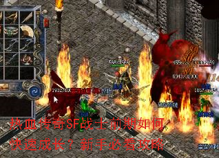 热血传奇SF战士前期如何快速成长?新手必看攻略 热血传奇SF战士前期如何快速成长?新手必看攻略