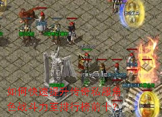 如何快速提升传奇私服角色战斗力至排行榜前十? 如何快速提升传奇私服角色战斗力至排行榜前十?