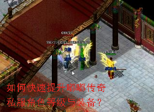 如何快速提升嘟嘟传奇私服角色等级与装备? 如何快速提升嘟嘟传奇私服角色等级与装备?