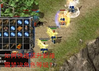 如何快速提升新服霸梦决角色等级? 如何快速提升新服霸梦决角色等级?