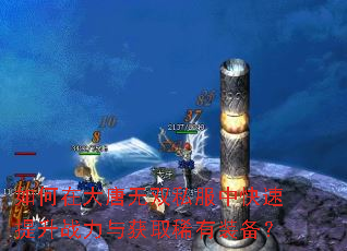如何在大唐无双私服中快速提升战力与获取稀有装备? 如何在大唐无双私服中快速提升战力与获取稀有装备?