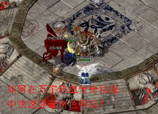 �����������Ѫ����˽���п���������ɫ�ȼ���