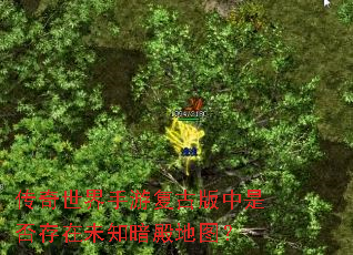 传奇世界手游复古版中是否存在未知暗殿地图? 传奇世界手游复古版中是否存在未知暗殿地图?