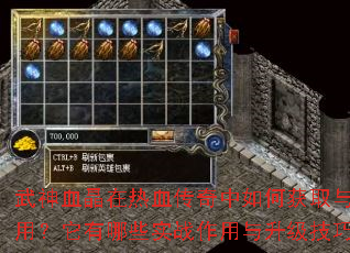 ����Ѫ������Ѫ��������λ�ȡ��ʹ�ã�������Щʵս�������������ɣ�