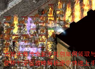 Ԫʼ������������������ȡ��ʹ�ã�ȫ�湥�Խ��������������